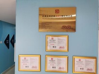 鄭州公司內部審計、財務核算與咨詢服務全攻略