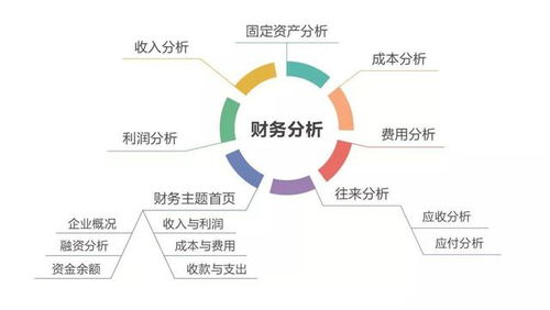 企業財務監督的力量 原則、內容與專業咨詢的雙重奏