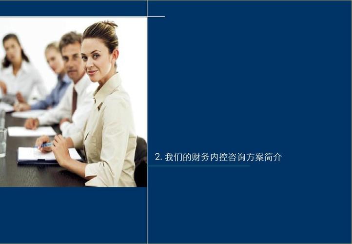 白象食品集團財務內控及績效管理咨詢項目建議書